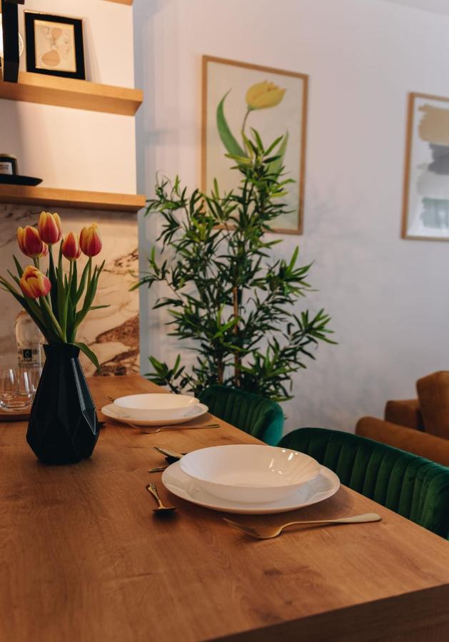 Tulip Apartment Oradea Εξωτερικό φωτογραφία
