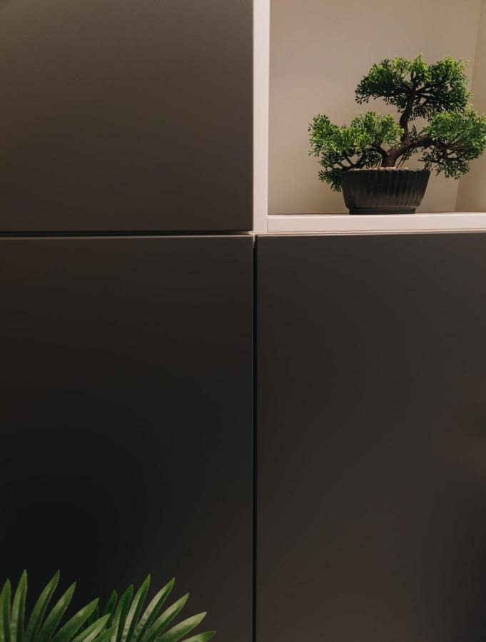 Tulip Apartment Oradea Εξωτερικό φωτογραφία